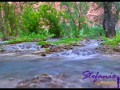 Havasu Creek