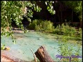 Havasu Creek im Sonnenlicht