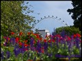 St. James Park