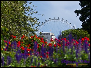 St. James Park