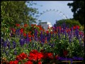 St. James Park