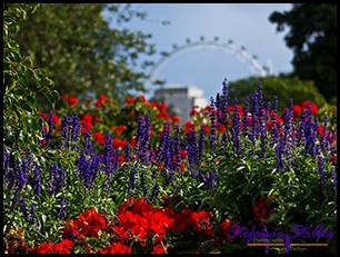 St. James Park