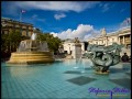 Brunnen am Trafalgar Square