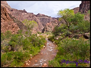 Bright Angel Creek