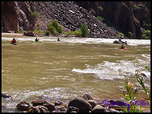 Rafting Rafting
