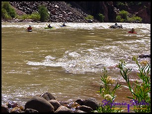 Rafting Rafting