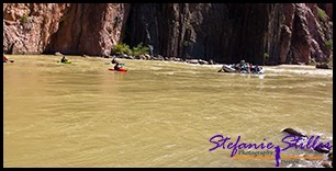 Rafting Rafting