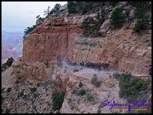 Abstieg über South Kaibab Trail Abstieg über South Kaibab Trail