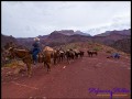 Abstieg über South Kaibab Trail