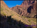 Bright Angel Trail - Beginn