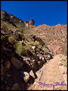 Der Trail Der Trail