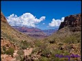 Blick in den Canyon