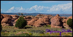 Weg von Grand Canyon nach Page