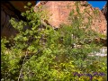 Lower Emerald Pool