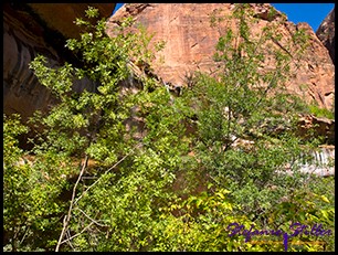 Lower Emerald Pool Lower Emerald Pool
