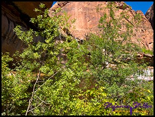 Lower Emerald Pool