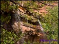 Lower Emerald Pool