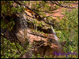 Lower Emerald Pool Lower Emerald Pool