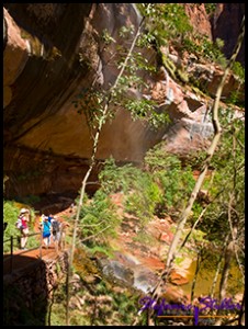 910 Lower Emerald Pool 03 910 Lower Emerald Pool 03