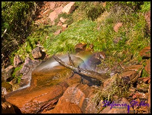 910 Lower Emerald Pool 13 910 Lower Emerald Pool 13