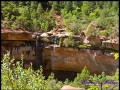 910 Lower Emerald Pool 15