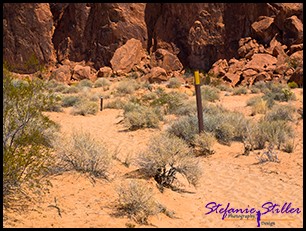 Trailhead Trailhead
