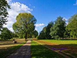 sommerlicher Hyde Park