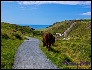 Kynance Cove 01 Kynance Cove 01