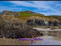 Kynance Cove 06