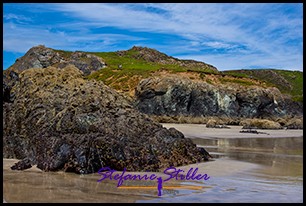 Kynance Cove 06