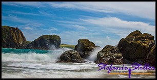 Kynance Cove 15