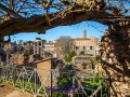 Forum Romana durch winterlichen Astbogen