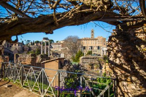 Forum Romana durch winterlichen Astbogen