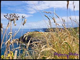 Tintagle 06 Tintagle 06