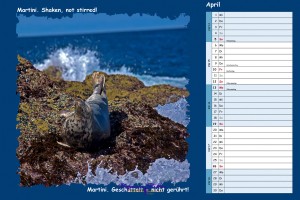 Kalender Filmzitate - April