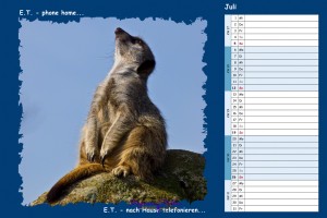 Kalender Filmzitate - Juli