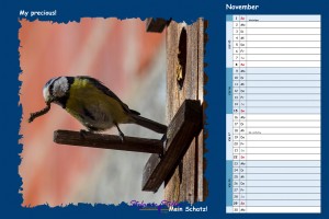 Kalender Filmzitate - November