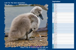 Kalender Filmzitate - September