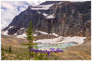 220816 cavellpond 220816 cavellpond