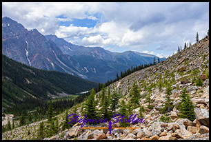 220816 francherepeak astoriariver 220816 francherepeak astoriariver