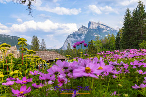 Cascade of Time Garden, Banff