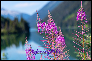 220812 duffeylake 220812 duffeylake