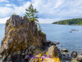 220809 eastsooke aylardfarm