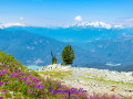 Blick vom Blackcomb Mountain ins Tal