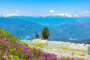 Blick vom Blackcomb Mountain ins Tal