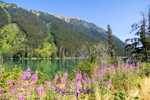 Duffey Lake