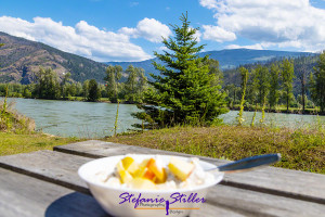 Picknick at North Thompson River