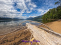 Log laying on the beach