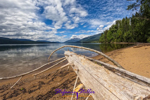 Log laying on the beach