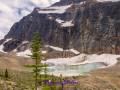 Edith Cavell Pond